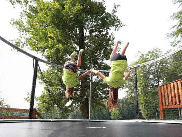 Gallus (5)-2 Akrobat Gallus